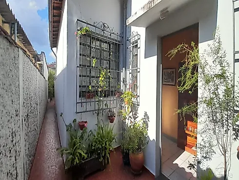 Casa Térrea  -  Terreno 325 m² - Marginal Tietê - Casa Verde -  Venda - Foto 20