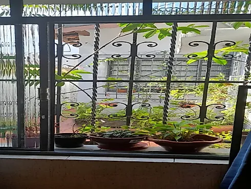 Casa Térrea  -  Terreno 325 m² - Marginal Tietê - Casa Verde -  Venda - Casa em Casa Verde, São Paulo - Foto 4