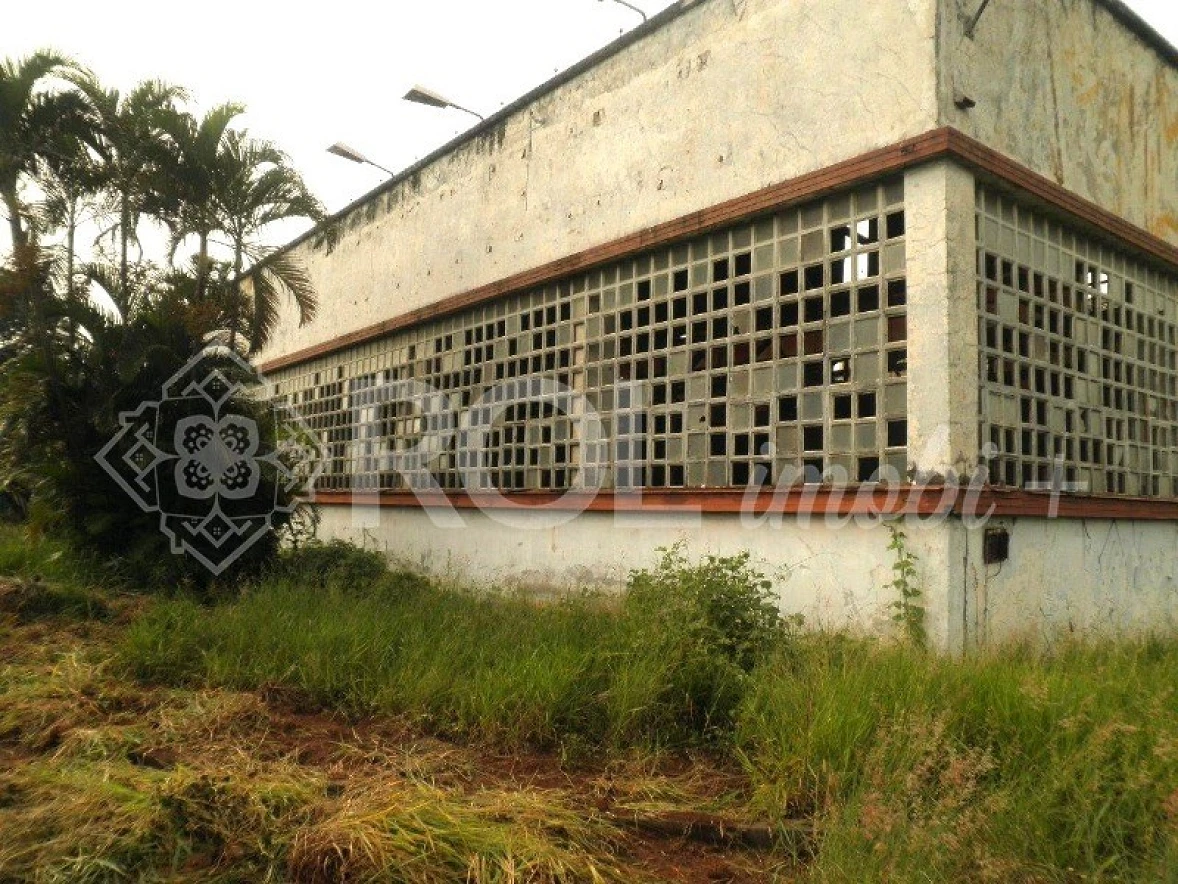 Terreno -Área Industrial - 20.000 m² -  Rodovia Anhanguera | Venda - Foto 10