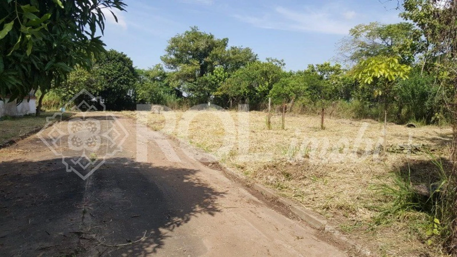 Terreno em Parque São Domingos, São Paulo