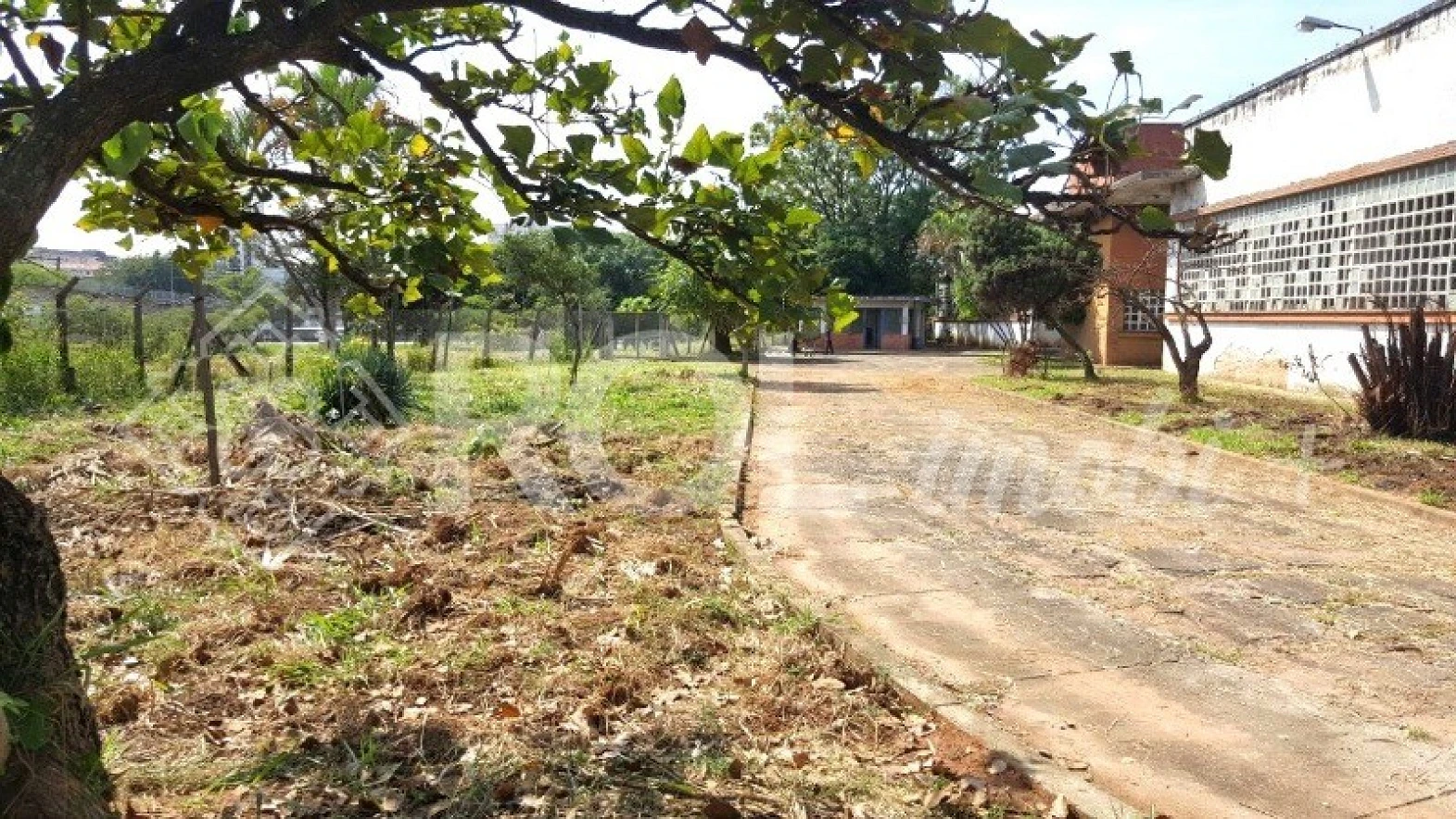 Terreno em Parque São Domingos, São Paulo