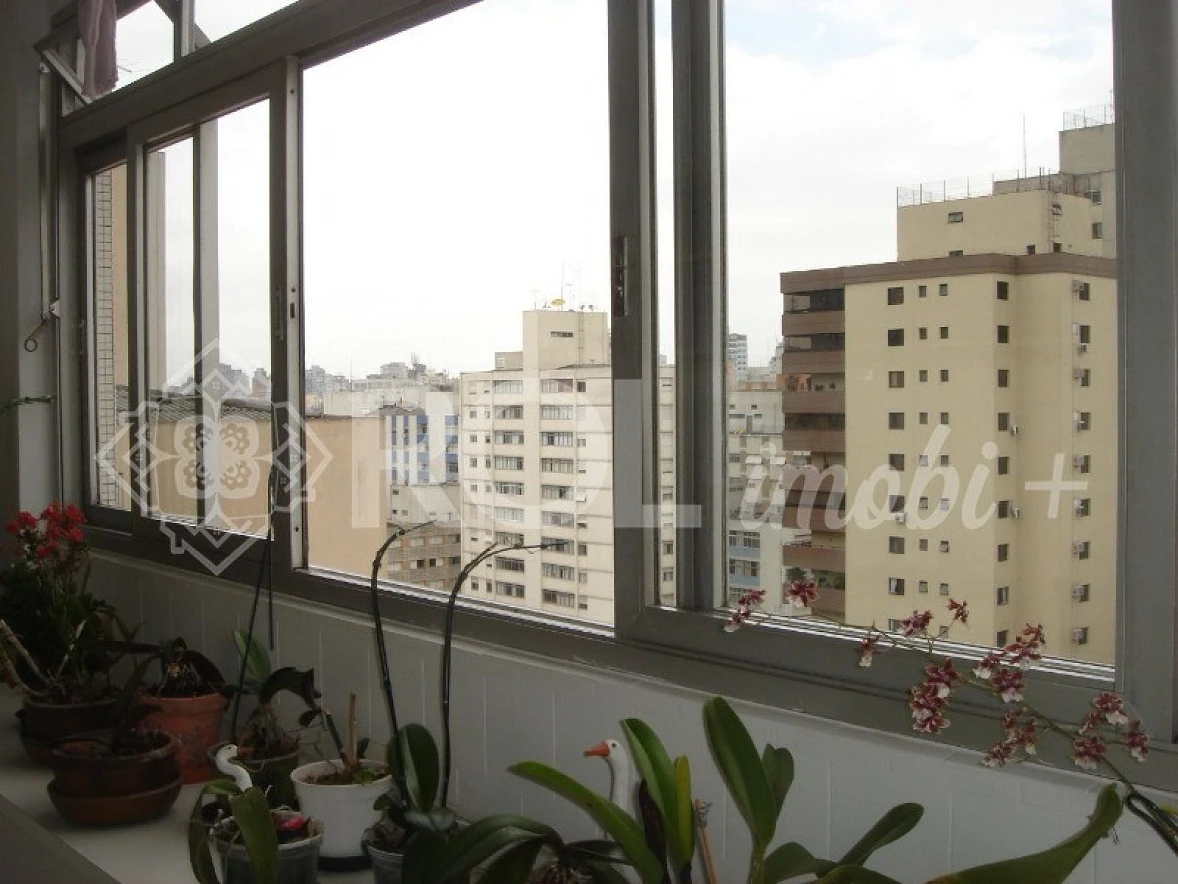 Apartamento 3 Quartos - Santa Cecília - Foto 14