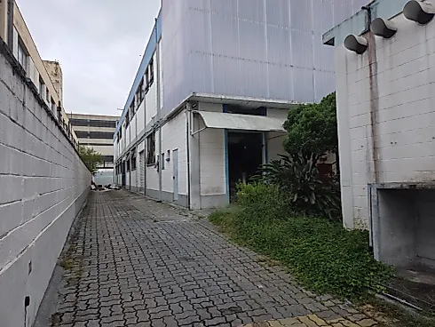 Galpão - Locação - Lapa - Foto 9