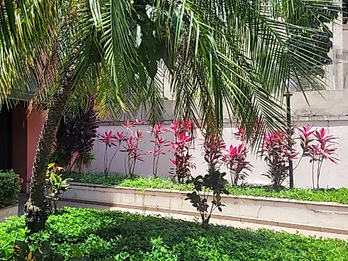 Apartamento com Terraço e 01 Vaga em Santa Cecília  -  Locação - Foto 29