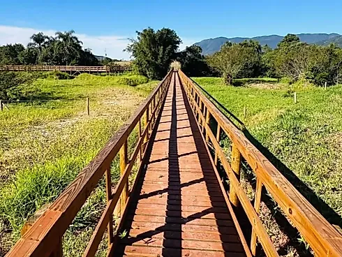 Terreno 914 m² Santo Amaro da Imperatriz - Foto 6