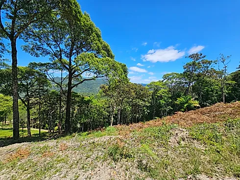 Terreno 1.201 m² Santo Amaro - Terreno em Varginha, Santo Amaro da Imperatriz - Foto 4