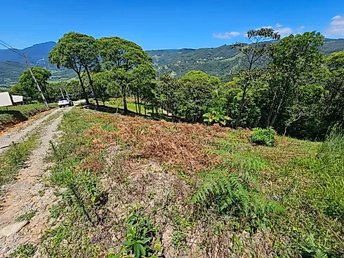 Terreno 1.201 m² Santo Amaro - Terreno em Varginha, Santo Amaro da Imperatriz - Foto 3