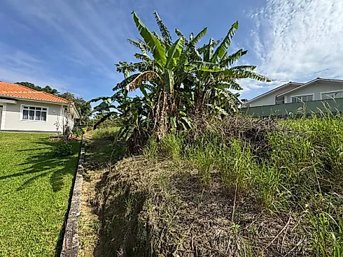 Terreno 928 M², Calemba - Terreno em Calemba, Santo Amaro da Imperatriz - Foto 5