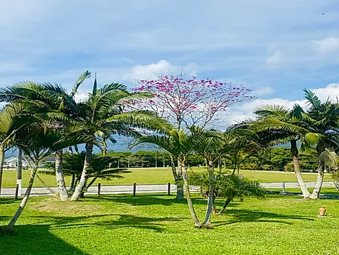 Casa 3 Dormitórios, sendo 1 Suíte e 1 Suíte Master - Foto 24