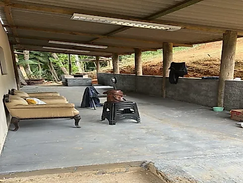 Sítio 12.000M², com Casa em Águas Mornas - Foto 17
