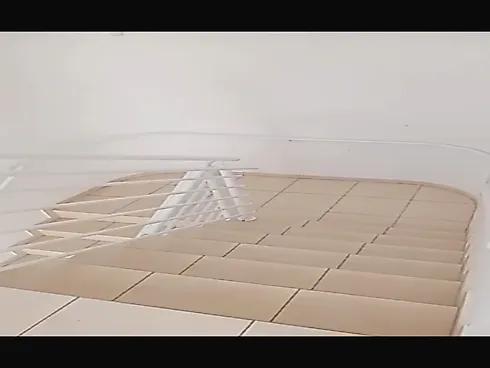 Apartamento 2 Dormitórios, sendo 1 Suíte - Foto 15