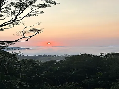 Sítio 2 Dormitórios, sendo 1 Suíte - Foto 40