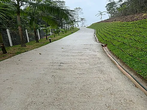 Sítio 2 Dormitórios, sendo 1 Suíte - Foto 35
