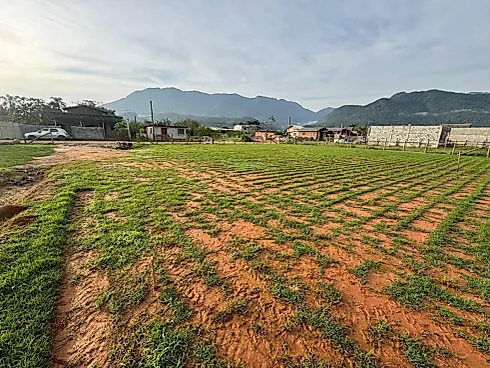 Terreno em Sul do Rio, Santo Amaro da Imperatriz