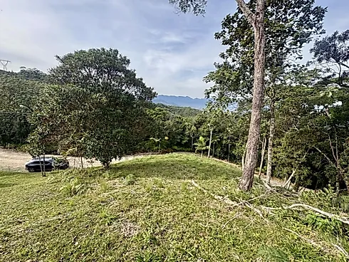 Terreno 2.561,36M² - Terreno em Varginha, Santo Amaro da Imperatriz - Foto 3
