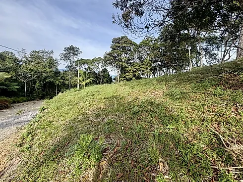 Terreno 2.561,36M² - Terreno em Varginha, Santo Amaro da Imperatriz - Foto 4