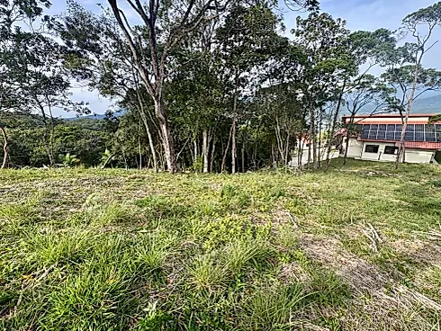 Terreno 2.561,36M² - Foto 6