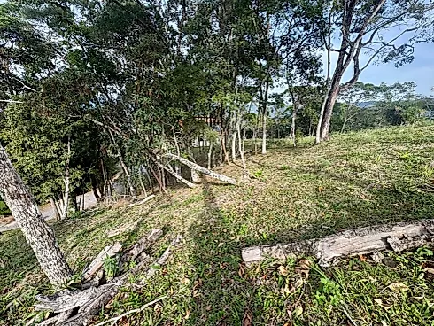 Terreno 2.561,36M² - Foto 7