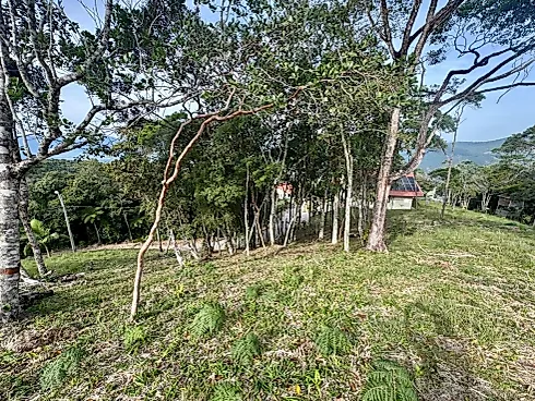 Terreno 2.561,36M² - Foto 8