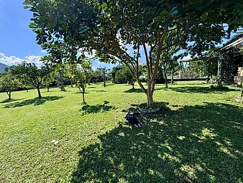 Terreno 2000m² - Foto 6