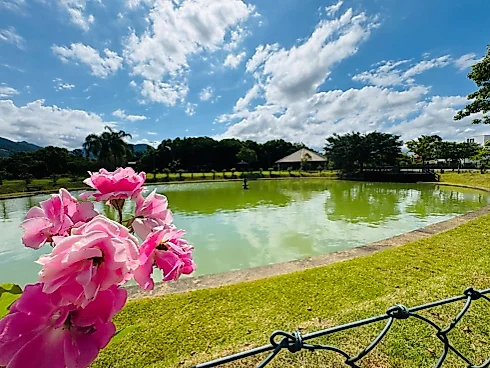 Terreno em Sul do Rio, Santo Amaro da Imperatriz