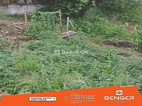 Terreno em Leve Declive no Centro-Rua do Arco Sul - Terreno em Centro, Veranopolis - Foto 2