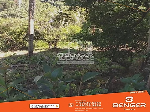 Amplo e Plano Terreno Cercado de 16 X75 ! - Terreno, Veranopolis - Foto 2