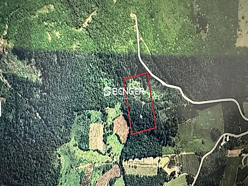 Área de Terras em Lajeadinho-2 km da Igreja - Sítio em Lajeadinho, Veranopolis