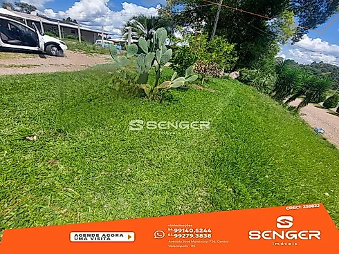Área de Terras em Beira da Br 470-Vila Flores - Foto 8
