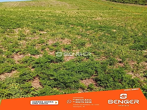 Área de Terras no Chimarrão -André da Rocha - Sítio em Interior, Andre da Rocha - Foto 4