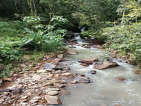 Chácara com Duas Frentes e Nascente Própria - Foto 2