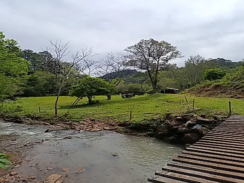 Chácara com Duas Frentes e Nascente Própria - Foto 17