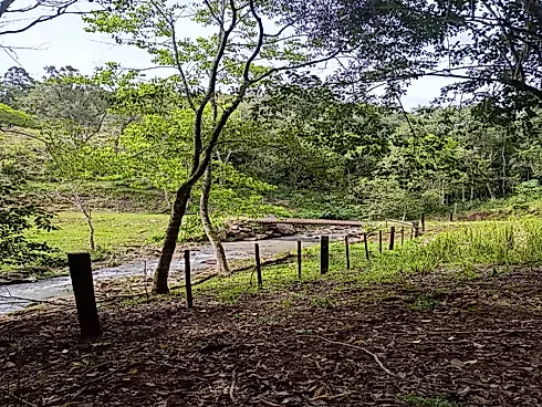 Chácara com Duas Frentes e Nascente Própria - Foto 18