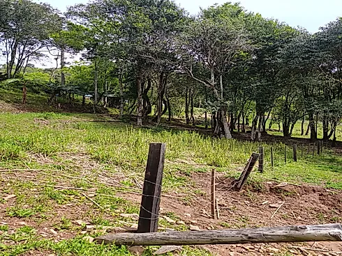 Chácara com Duas Frentes e Nascente Própria - Foto 19