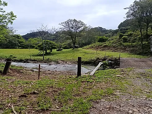 Chácara com Duas Frentes e Nascente Própria - Foto 20