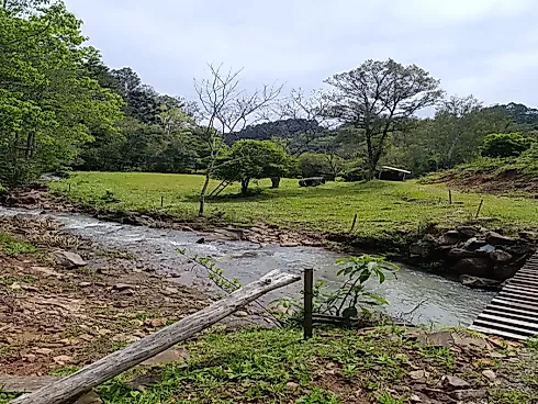 Chácara com Duas Frentes e Nascente Própria - Foto 21