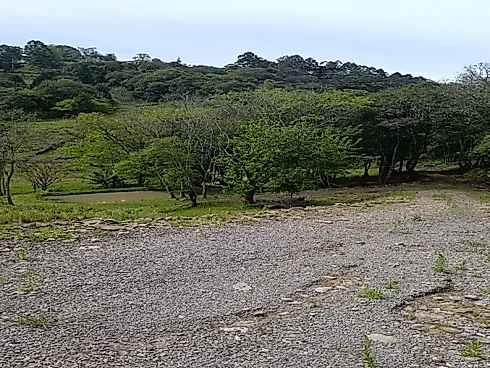 Chácara com Duas Frentes e Nascente Própria - Foto 23