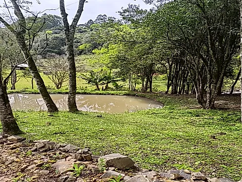 Chácara com Duas Frentes e Nascente Própria - Foto 25