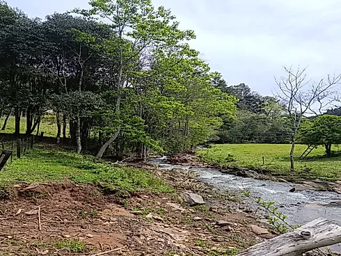 Chácara com Duas Frentes e Nascente Própria - Foto 26