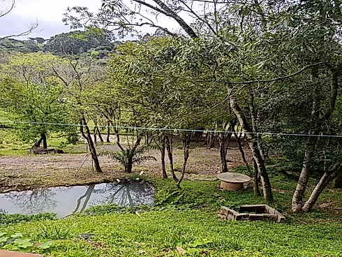 Chácara com Duas Frentes e Nascente Própria - Foto 27