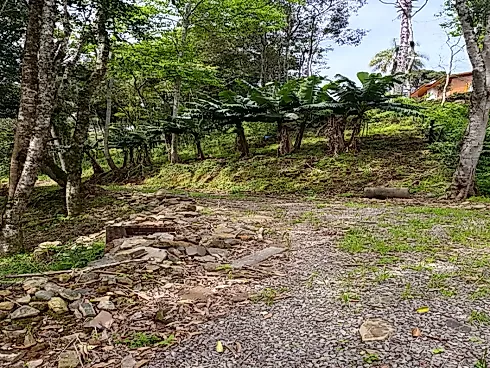 Chácara com Duas Frentes e Nascente Própria - Foto 11