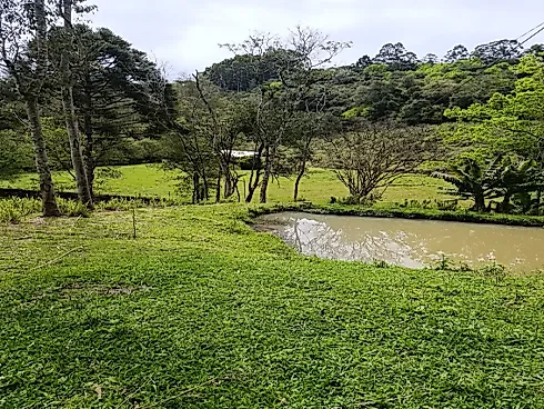 Chácara com Duas Frentes e Nascente Própria - Foto 15