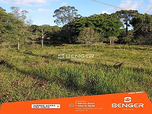 Ampla Área de Terras em Beira da Br -Próximo Á Prf - Sítio em Br 470, Veranopolis - Foto 3