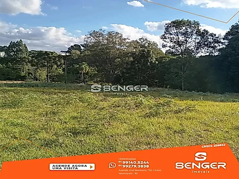 Ampla Área de Terras em Beira da Br -Próximo Á Prf - Sítio em Br 470, Veranopolis - Foto 4