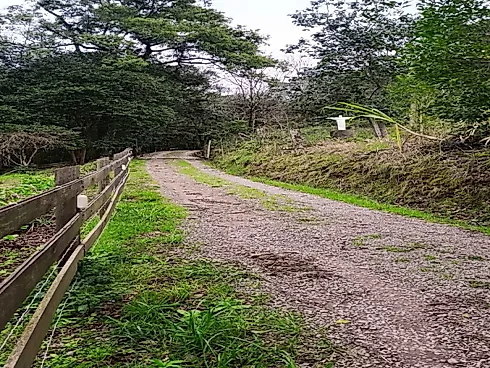 Sítio \ Área de Terras na Coréia de 7 Hectares com Casa - Sítio em Coréia, Veranopolis - Foto 3