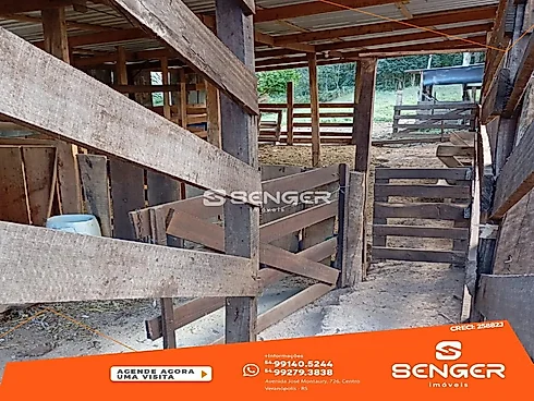 Área de Terras na Coréia de 7 Hectares com Casa - Sítio em Coréia, Veranopolis - Foto 2