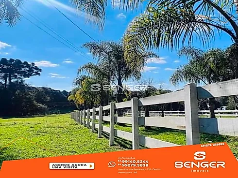 Lindo Sítio em Nova Araça com Toda Infraestrutura - Chácara em Interior, Nova Araca - Foto 4