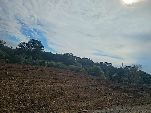 Chácara 20000m² em Cotiporã- Interior - Foto 3