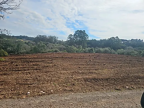 Chácara 20000m² em Cotiporã- Interior - Foto 5