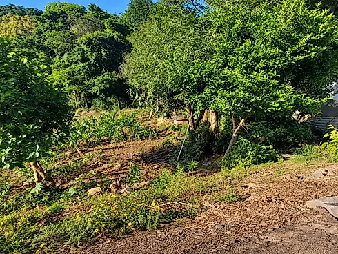 Terreno no Bairro Santa Lúcia-Barbada - Terreno em Santa Lucia, Veranopolis - Foto 3